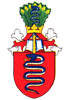 Malešičtí z Černožic