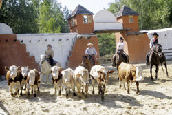 Western park Boskovice