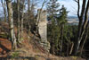 Hrad Šternberk