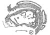 Hrad Wimberk