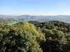 Hrad Blansko - výhled na jihojihovýchod (zcela na horizontu hrad Panna) Hrad Blansko - výhled na jihojihovýchod (zcela na horizontu hrad Panna)