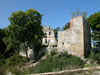 Hrad Starý Rybník