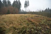 Tvrz Hrádek