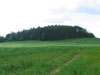 Tvrz Vranovice (Hůrka)
