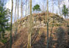 Hrad Skuhrov