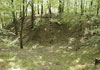 Hrad Vildenberk