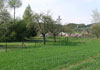 Tvrz Třtice