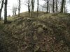Hrad Hungerberg