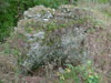 Hrad Budětice