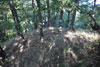 Hrad Leština - zadní část vnitřního hradu na západě Hrad Leština - zadní část vnitřního hradu na západě