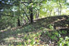 Hrad Leština - val na východě hypotetického předhradí