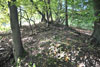 Hrad Leština - val na východě hypotetického předhradí