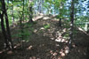 Hrad Leština - celkový pohled vnitřní hrad od východu