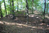 Hrad Leština - celkový pohled na vnitřní hrad od severovýchodu