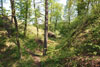 Hrad Velešín - šíjový příkop