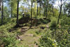 Hrad Velešín - druhé předhradí, pohled z parkánu jádra