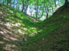 Liškův hrad - příkop na východní straně, pohled od severozápadu
