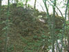 Liškův hrad - skalní výběžek z akropole hradu na severní straně